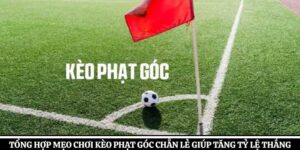 Tổng Hợp Mẹo Chơi Kèo Phạt Góc Chẵn Lẻ Giúp Tăng Tỷ Lệ Thắng